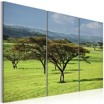 

Table-Acacia afriquines-60x40