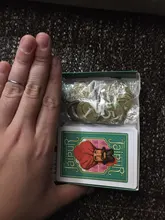 Card-Games Rules Couple Playing-Cards Jaipur Spanish Party English Family for Gifts