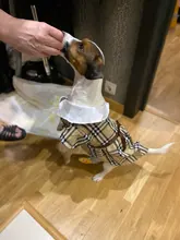 Dress Costume Dog-Puppy-Clothes PET PETCIRCLE Small Dog Classic Check Fit Pet-Cat All-Seasons