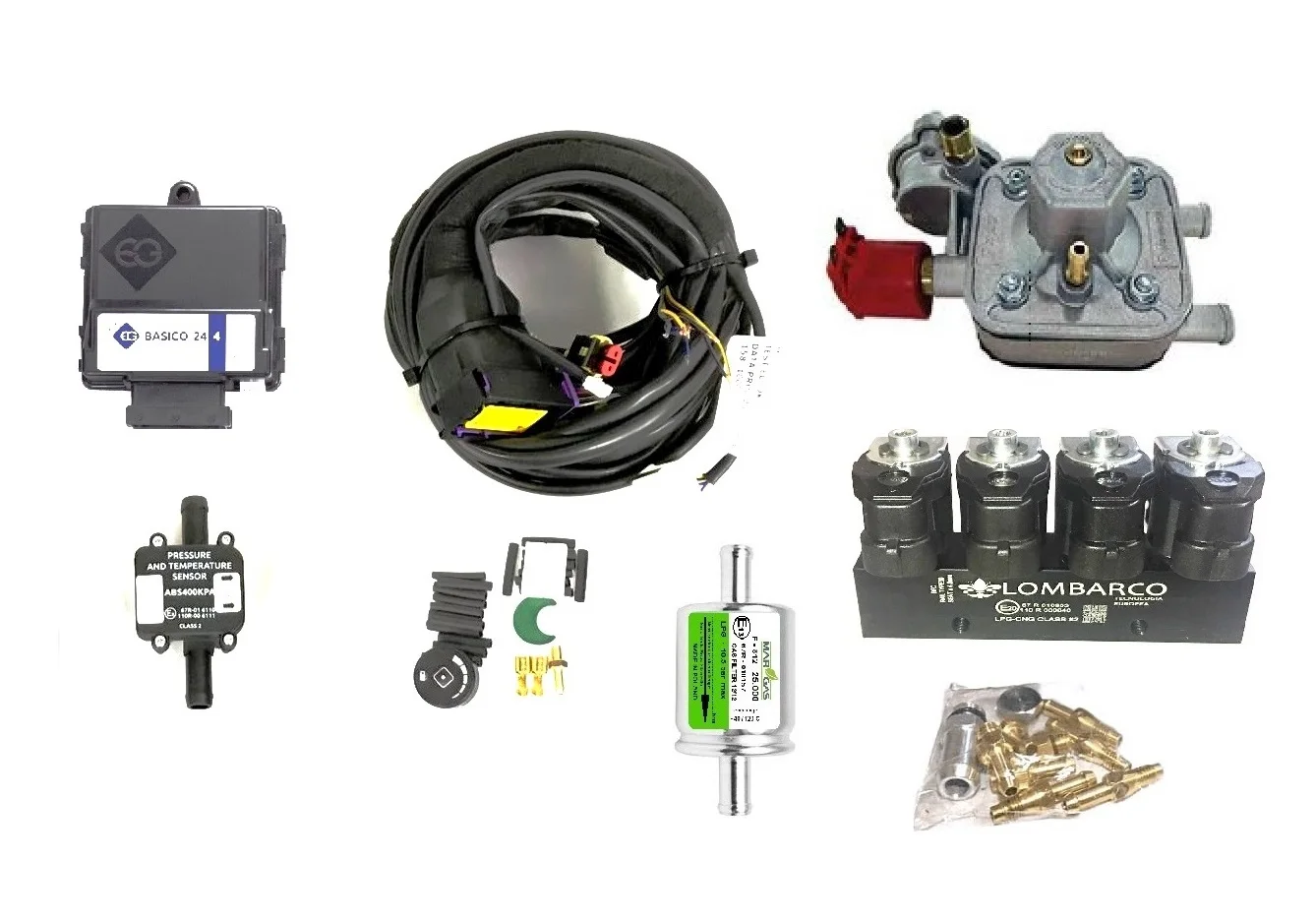 Europegas Basico 24 Eco Lpg Gpl Cng Front Kit Landirenzo Lovato Brc