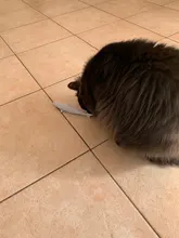 Interactive-Toy Cat-Wagging-Supplies Pet-Catnip Fish-Shape Training Silicone Simulation