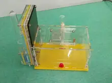 Nido De Hormigas en forma De T para niños, Granja acrílica, juguete De clase De biología, Granja De Hormigas
