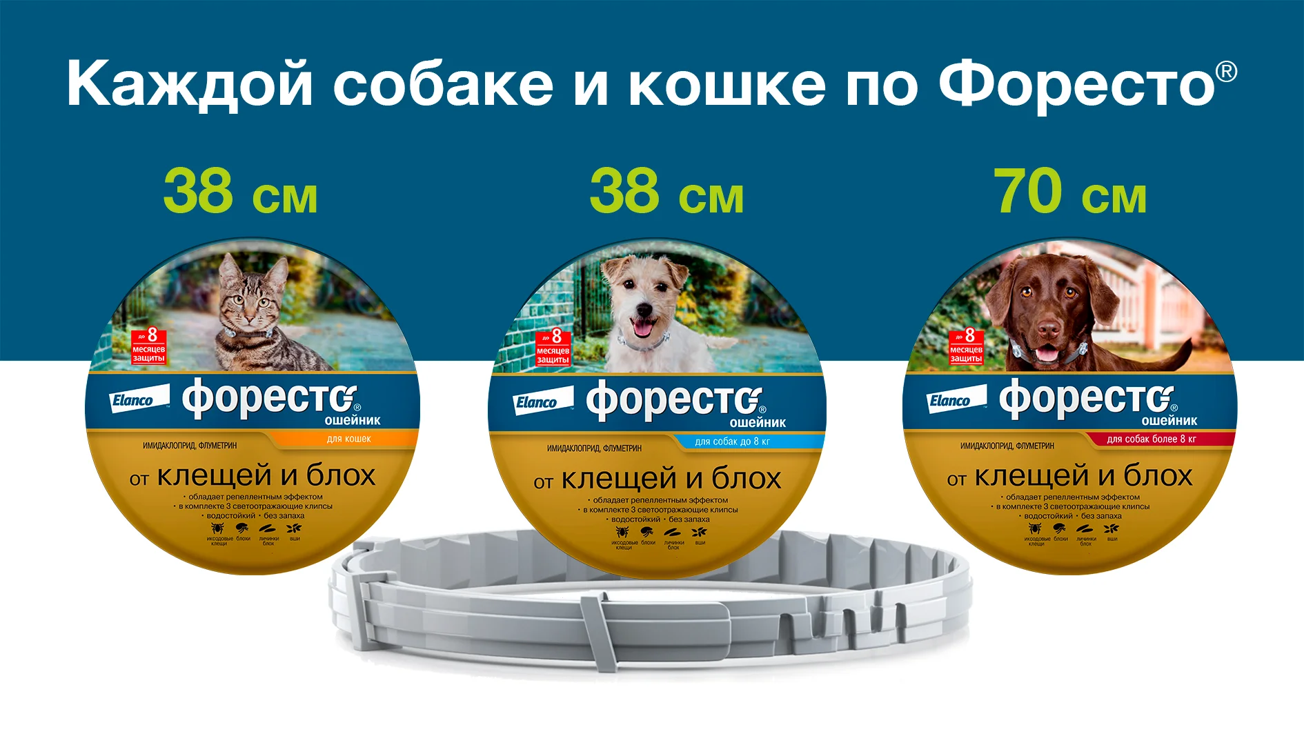 Форесто для собак от клещей. Ошейник foresto для собак более 8кг. ошейник форесто elanco для собак более 8 кг. foresto для собак до 8 кг. foresto для кошек.