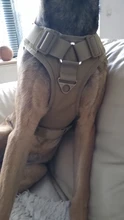 Vest Dog-Harness German-Shepherd Dogs Pet-Military-Training Molle Tactical Medium 
