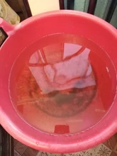 Hose-Pump-Wash Valve-Control Cleaning-Tool Water-Changer-Cleaner Outlet Aquarium Fish-Tank