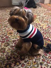 Dog Winter Sweater Pet-Dog Puppy-Cat Knitted Chihuahua for Small Clothing Ropa-Perro