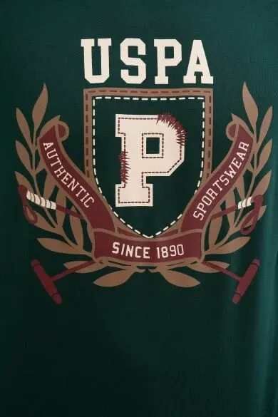 U.S. POLO ASSN. Обычная Толстовка