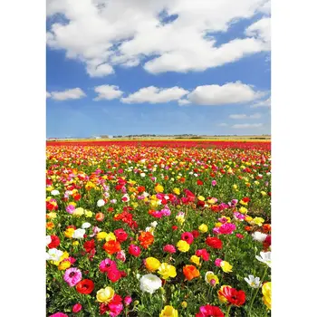 

Decoretto/wall mural "field of hatches", 180x254 (W-cm)