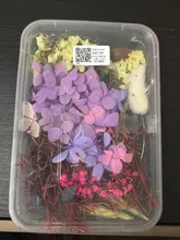 1 caja de hojas de flores prensadas reales, resina de margaritas secas, calcomanías de belleza para uñas, moldes de epoxi, embellecedores para fabricación de joyas