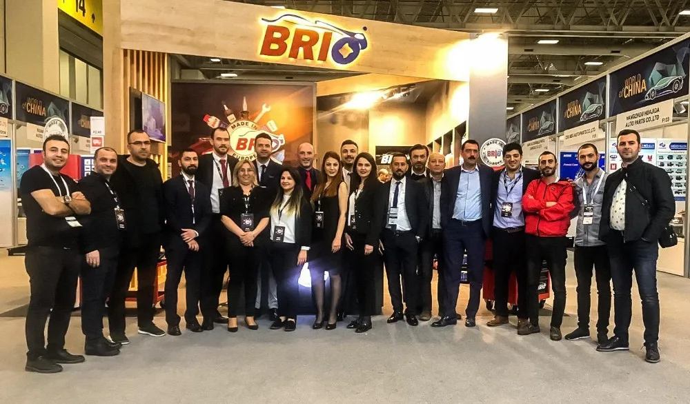 Brio многоцелевой ручной инструмент Ремонтный набор плоскогубцы молоток шестигранный ключ отвертка ключ профессиональный набор инструментов Сделано в Европе черный