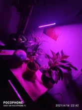 Grow-Lamp Sunlight Imitating Young-Plants Uv-Growing Full-Spectrum Indoor LED DC 5V 3W