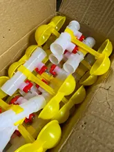 Chicken-Tools Drinking-Cup Water-Bowls Quail Pheasant 40