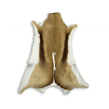 

Springbok gazelle natural leather rug 95x60 cm