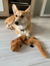 Puppy Honking Squirrel for Dogs Cat Chew Squeaker Squeaky Toy Dog Toys Stuffed Chew Squeaking