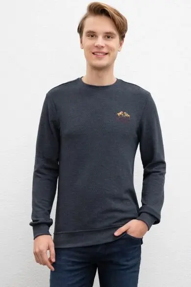 U.S. POLO ASSN. Обычная Толстовка