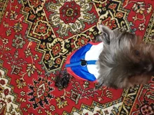 Coat Vest Jacket Yorkie Chihuahua Puppy Outfit Pet-Dog Winter Warm for Windproof Padded