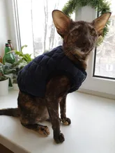 Ropa para perro Chihuahua, traje de gatito, chaqueta para perro, chaleco, ropa de invierno, abrigo de perrito mascota, ropa para perros pequeños y medianos