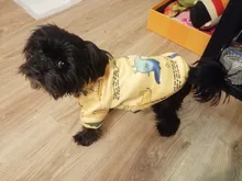 Traje para perros con estampado de animales, abrigo suave de algodón para mascotas, Jersey, camisa, chaqueta, suéter, ropa para mascotas