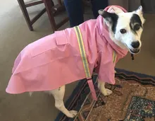 Jacket Raincoats Puppy-Clothes Pets Reflective Dog Small Waterproof Outdoor Large Breathable