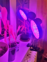 Grow-Light Lamps Timer Flowers Desktop-Clip LED Phyto Full-Spectrum For Plants DC5V USB