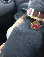 Id-Collar Pendant-Supplies Pet-Name-Tag Customized Dog Metal Personalized Engraving Puppy