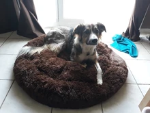 Perro cama Super lavables suaves larga mascota de peluche perrera profundo perro para dormir casa esterillas de terciopelo sofá para cesta de perro Gato cama envío de la gota
