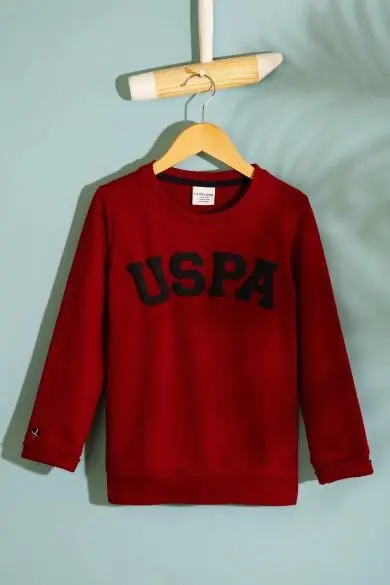 Uss. POLO ASSN. Простая Толстовка