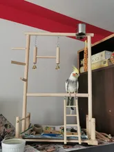 Playground Bird Perches Cockatiel Playstands-Toys Parrot Wood Climbing Hanging-Ladder-Bridge