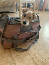 Pet-Bag Chihuahua Portable Pets-Handbag Dog Mesh Cat