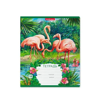 

Notebook student 18L (Cage) exotic birds erichkrause 46594ek