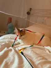 3 uds juguetes de gato varita divertida, colorida y bonita Teaser varita de plástico juguetes para mascotas para el palo interactivo de gatos gato suministros