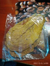 Betta Fish Shrimp Aquarium Almond-Leaves Natural Indian 10pcs Habitat Terminalia Kill-Bacteria