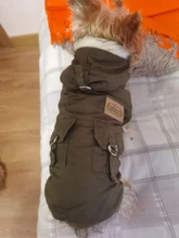 Chaqueta con capucha para gatos domésticos y perros, abrigo cálido para invierno, para perros medianos y pequeños, Chihuahua, ropa ligera