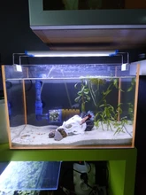 Leds Aquarium Lighting Clip-On-Lamp Extensible Fish-Tank Aquatic-Plant Waterproof 