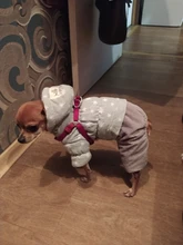 Overalls Fleece Dogs Winter for Star Corduroy Teddy XS M XL
