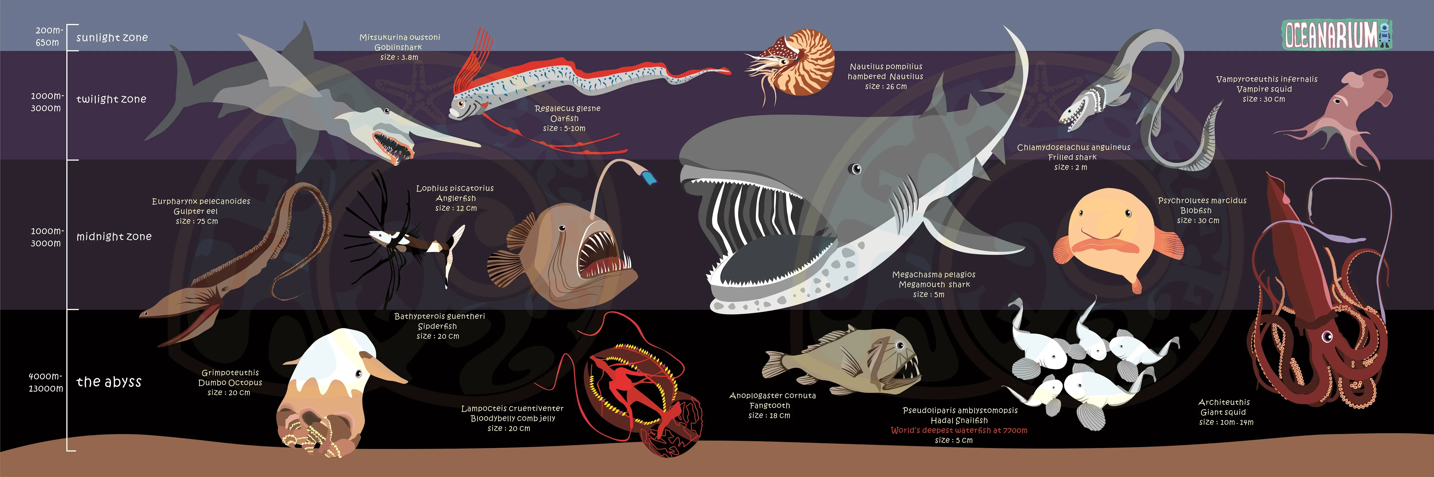 Океанариум T07 DEEPSEA MARINELIFE сухое полотенце 80 см X 140 см
