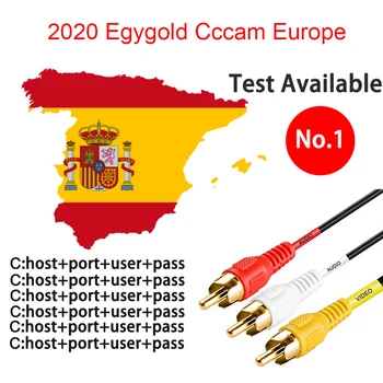 

iBRAVEBOX Cccam Europe Lines Server HD Estable Free 1/2 Year 7 Lines Codigos Spain Poland Ccccam Europa For Satellite Receiver