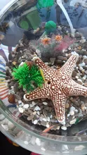 Plantas artificiales de Acuario, decoración de tanque de peces, decoración de césped de agua, adornos de vista, accesorios de decoración para el hogar, 5-12CM