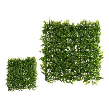 

Decorative Plant Ibergarden (50 x 3 x 50 cm)