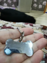 Collar-Accessories Dog-Tag Engraved-Tel Sex-Name-Tag Dogs Kitten Pupp Pet-Dog Stainless-Steel