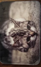 Floor-Mats Kitchen-Carpets Bathroom Welcome Anti-Slip Animal Cat Kawaii Living-Room Cat-Printed