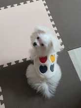 Costume Puppy-Clothes Love-Rainbow-Vest PETCIRCLE Pet-Cat Dog Winter New Fit And Four-Color