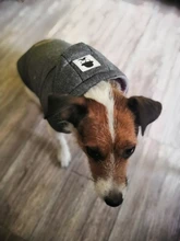 Winter Warm Pet Dog Clothes Hooded Thick Cotton Cat Puppy Dogs Coat Jackets S-XXL