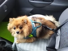 Lock-Harness Seat-Belt Collar Dog-Supplies Vehicle Truelove Safety Pet-Dog Lightweight