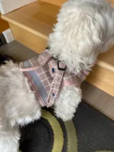 Arnés reflectante para perros y gatos, chaleco de malla transpirable, correa de arneses, suministros para mascotas