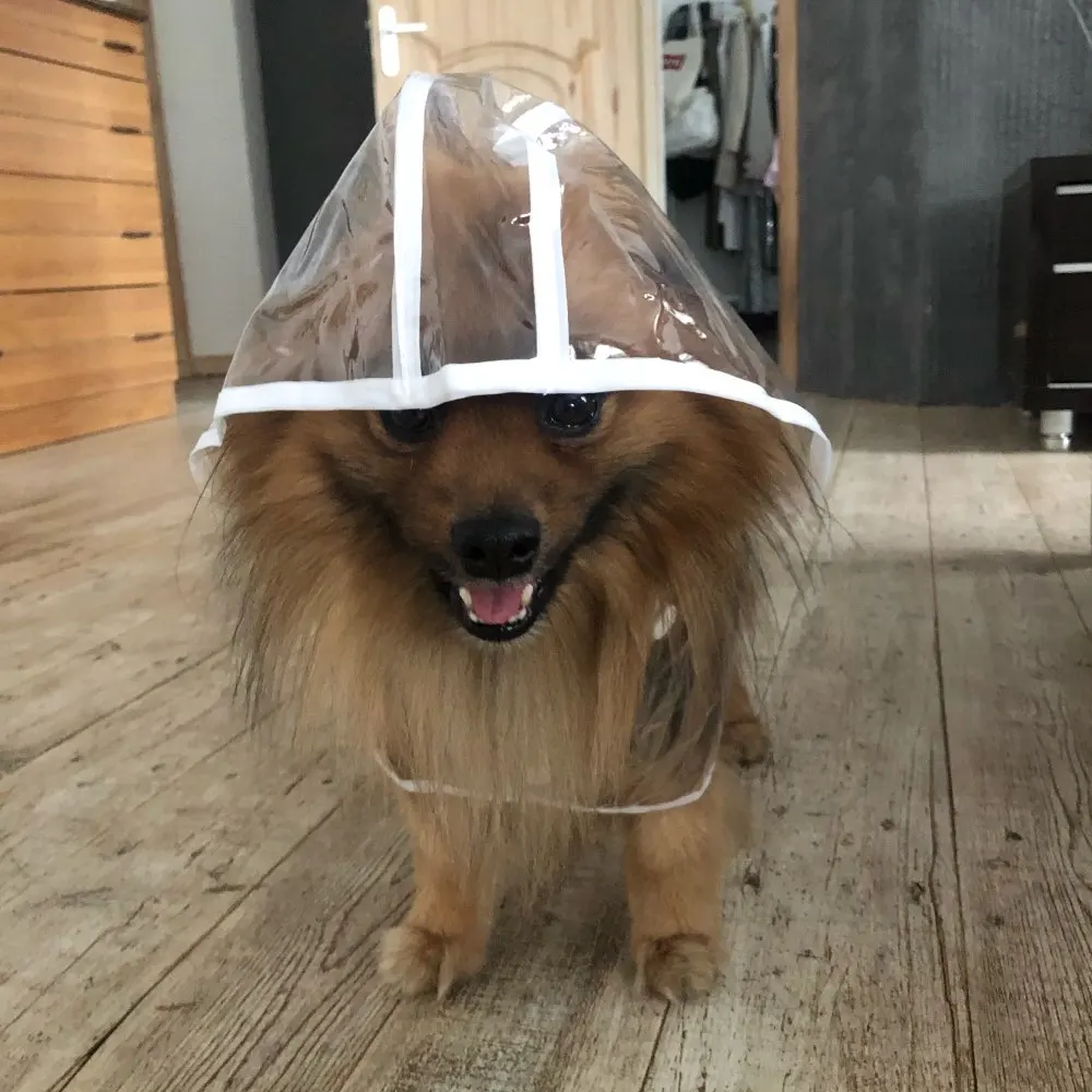 Best Dog Raincoat with Hood Puppy Raincoat with Hood Waterproof Dog