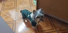 Sweatshirt Coat Puppy Yorkies Dog Chihuahua Cotton Fish-Bone-Print for Small Cats Cozy
