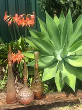 Steamer Cooker Egg-Boiler Cooking-Appliances Chicken-Shaped Microwave 4 Kitchen Home-Tool