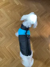 Ropas impermeables para perro para perros pequeños de invierno cálido abrigo para perros ropa de perro grande cachorro Pug chaleco Bulldog francés chaqueta para Chihuahua