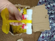 Chicken-Tools Drinking-Cup Water-Bowls Quail Pheasant 40